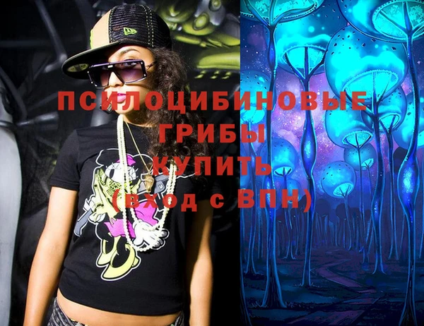 ALPHA-PVP Богородицк