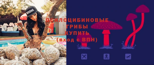 ALPHA-PVP Богородицк