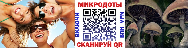 Псилоцибиновые грибы мухоморы  Ленинградская 