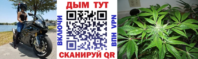 darknet официальный сайт Ленинградская Бошки марихуана White Widow
